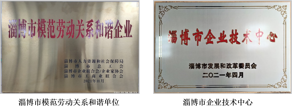 公司履行社會責(zé)任報告（2021年度）